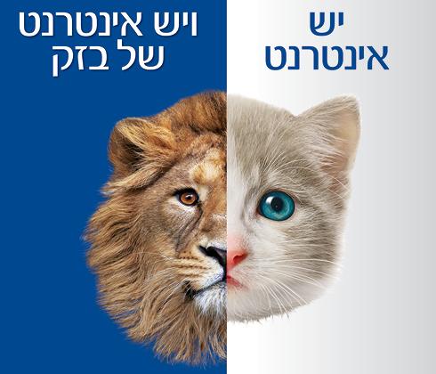 האינטרנט של בזק. עולם תוכן של ערכים מוספים